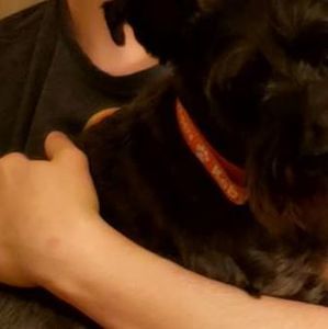 Meet your Posher, Julian